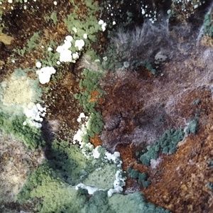 Meet your Posher, Nathan